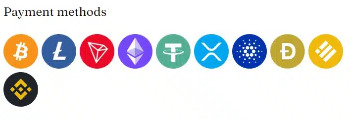 ビットカジノ IO の支払い方法