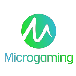 A Look Into Casino Software & It's Top Providers 2 mgs