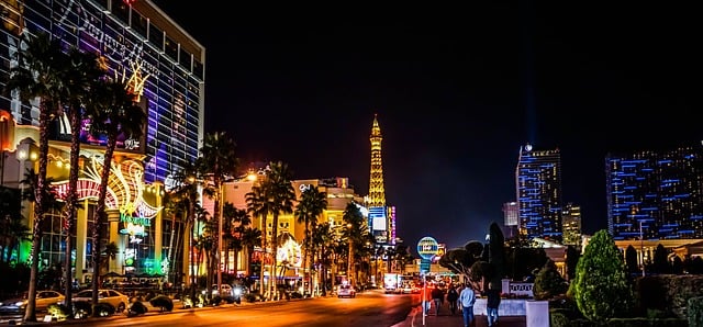 How to Become a Professional Gambler 2 Las Vegas