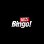 Daily Record Bingo Casino Review 2023