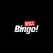 Daily Record Bingo