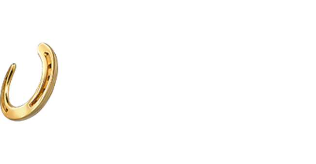 Horseshoe / 🇺🇸 United States (American English)