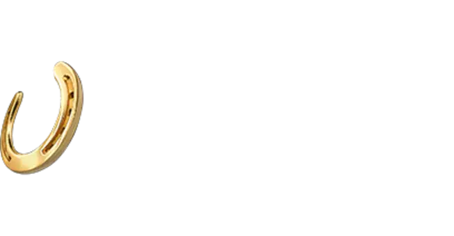 Horseshoe / 🇺🇸 United States (American English)